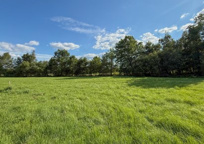 działka na sprzedaż - Skawina (gw)