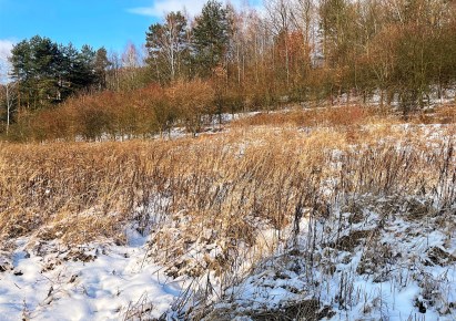 działka na sprzedaż - Babice, Zagórze