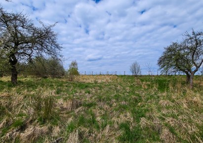 działka na sprzedaż - Krzeszowice (gw)