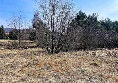 działka na sprzedaż - Babice, Wygiełzów