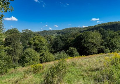 działka na sprzedaż - Krzeszowice (gw)